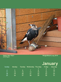 Winged Hearts Calendar 2015