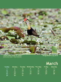 Winged Hearts Calendar 2015