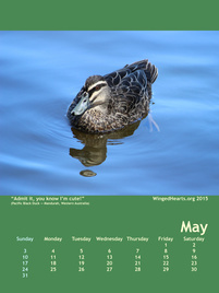 Winged Hearts Calendar 2015