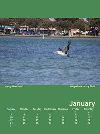 Winged Hearts Calendar 2015