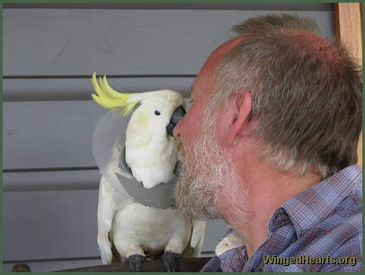 Charlie Girl kissing Peter