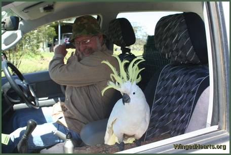 Charlie Girl and Peter in car